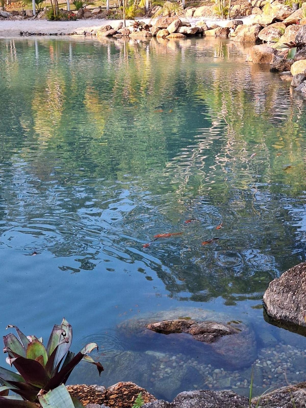 Fazenda Gamela Eco Resort Cantagalo  외부 사진